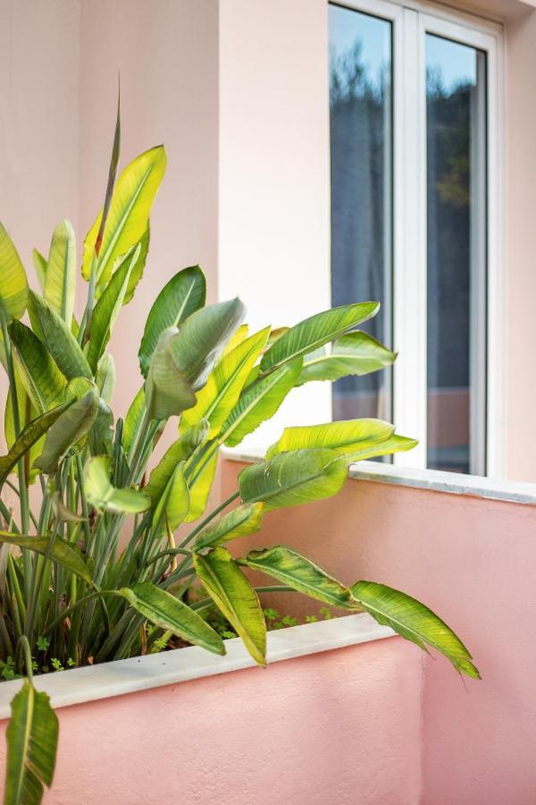 Aphrodite Studios & Apartment Bali  Kültér fotó